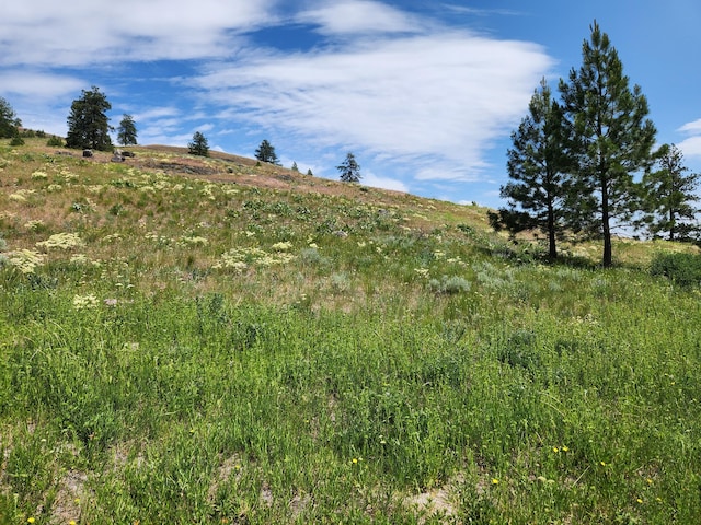 0TBD Roundabout Rd, Tonasket, WA 98855