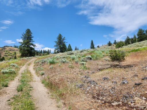 0TBD Roundabout Rd, Tonasket, WA 98855