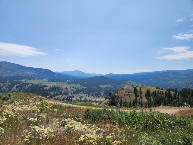 0TBD Roundabout Rd, Tonasket, WA 98855