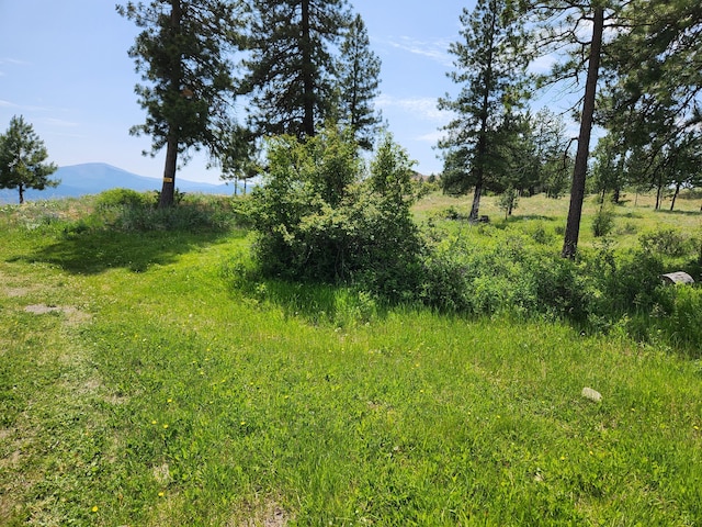 0TBD Roundabout Rd, Tonasket, WA 98855