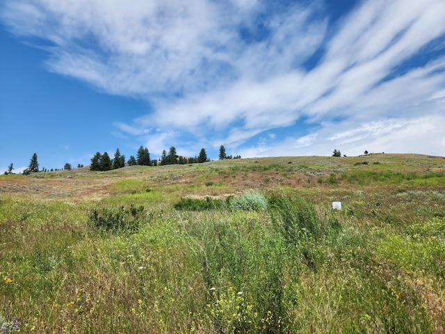 0TBD Roundabout Rd, Tonasket, WA 98855