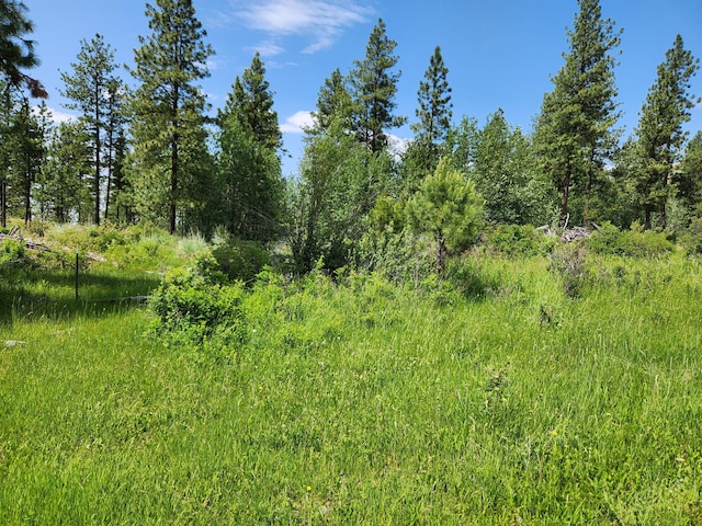0TBD Roundabout Rd, Tonasket, WA 98855