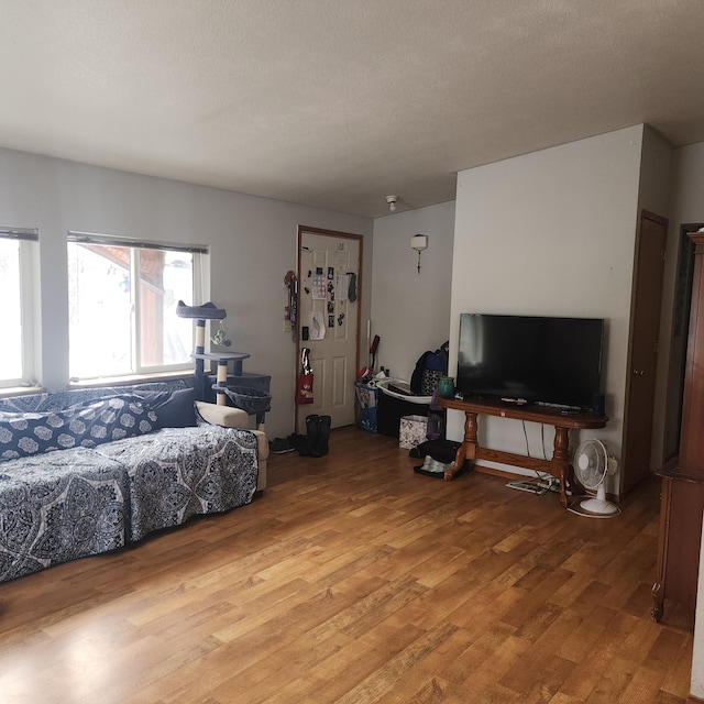 living room with wood finished floors