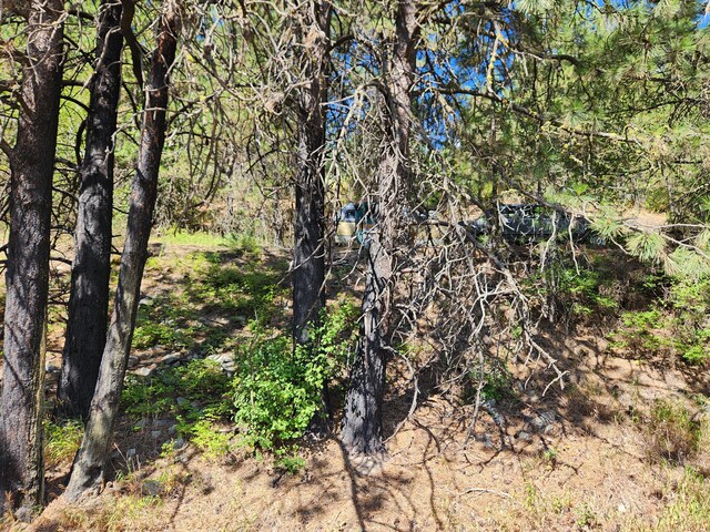 NKA Klondike Rd, Republic, WA 99166 - photo 8