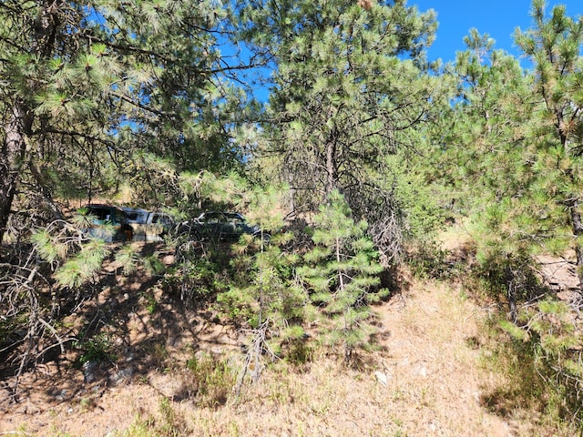 NKA Klondike Rd, Republic, WA 99166 - photo 2