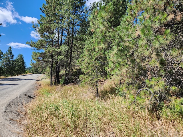 NKA Klondike Rd, Republic, WA 99166 - photo 1