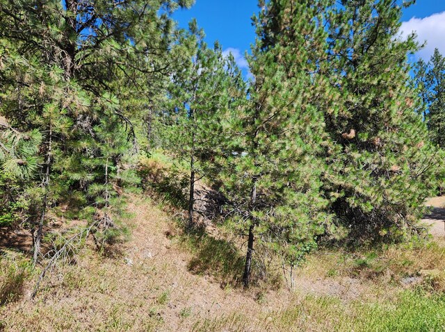 NKA Klondike Rd, Republic, WA 99166 - photo 7