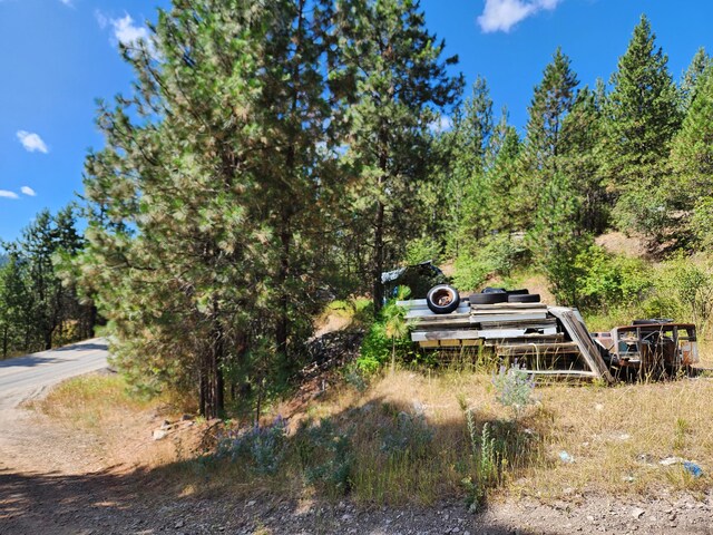 NKA Klondike Rd, Republic, WA 99166 - photo 5