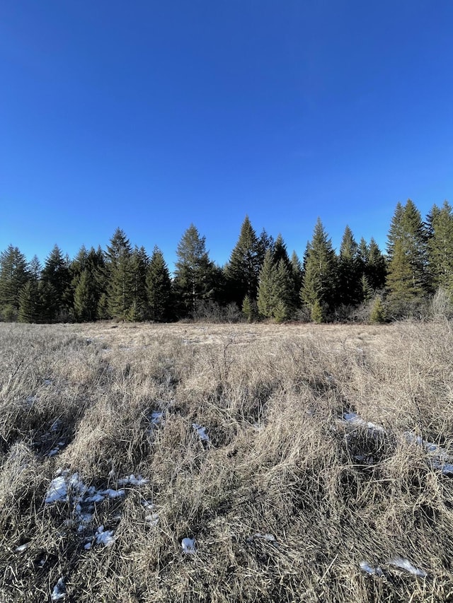 4128 N Stone Mountain Way, Colville WA, 99114 land for sale