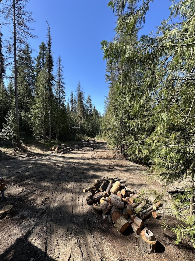 3928 Cedar Creek Rd, Colville, WA 99114 - view of undeveloped land