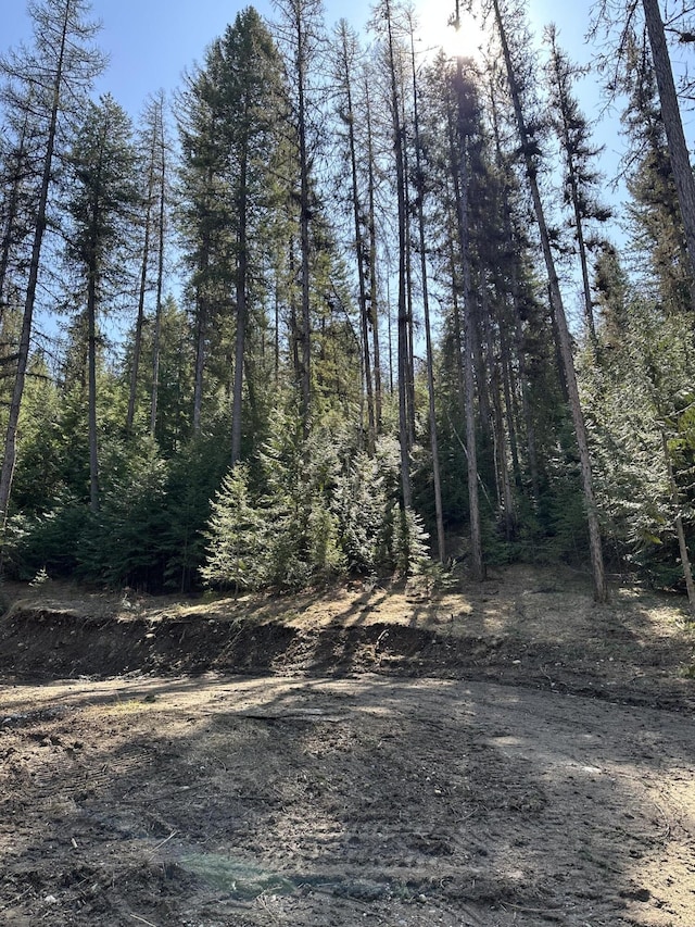 3928 Cedar Creek Rd, Colville, WA 99114 - view of local wilderness