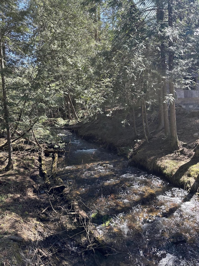 3928 Cedar Creek Rd, Colville, WA 99114 - view of nature