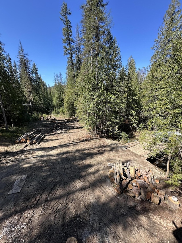 3928 Cedar Creek Rd, Colville, WA 99114 - view of yard with a wooded view
