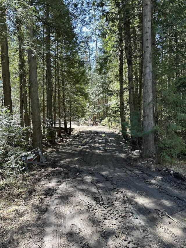 3928 Cedar Creek Rd, Colville, WA 99114 - view of dirt / gravel road featuring a view of trees