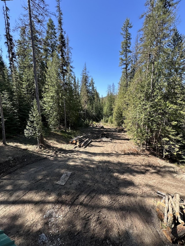 3928 Cedar Creek Rd, Colville, WA 99114 - view of road