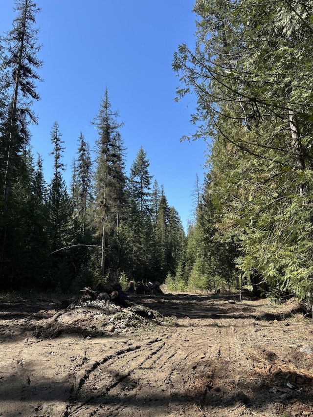 3928 Cedar Creek Rd, Colville, WA 99114 - view of tree filled area