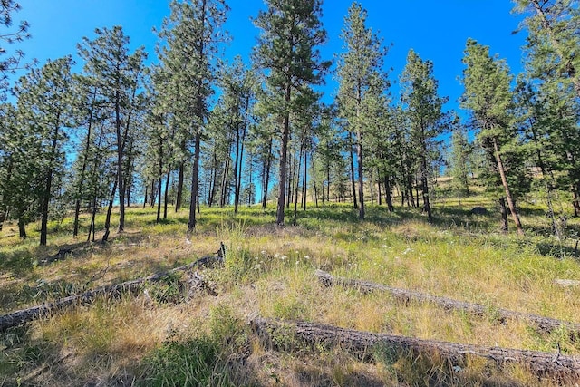 721 Palmer Ln, Chewelah, WA 99109