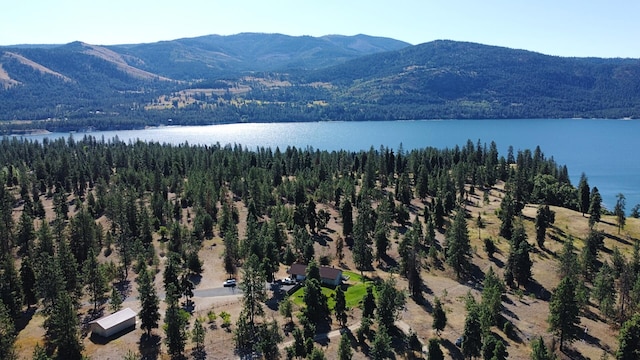 51 Roper Bay Dr, Kettle Falls, WA 99141 - photo 36