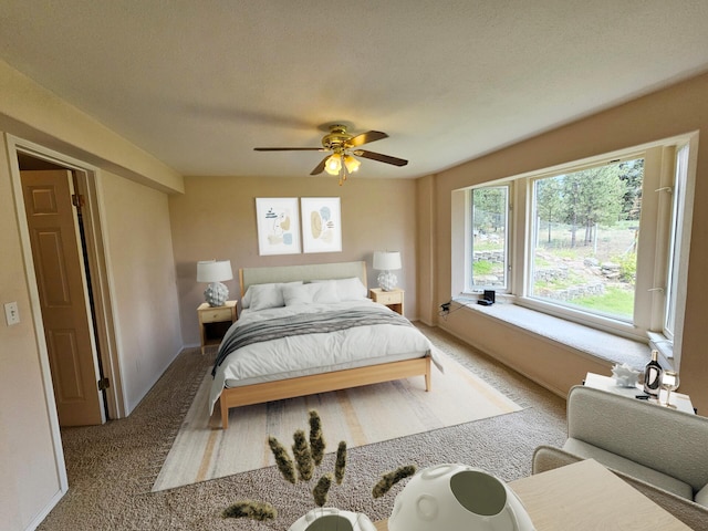 51 Roper Bay Dr, Kettle Falls, WA 99141 - photo 14