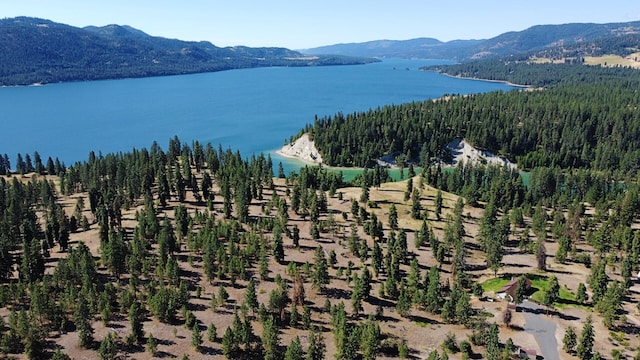 51 Roper Bay Dr, Kettle Falls, WA 99141 - photo 1