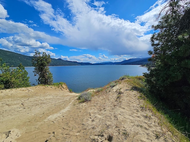 51 Roper Bay Dr, Kettle Falls, WA 99141 - photo 35