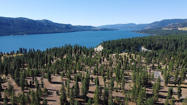51 Roper Bay Dr, Kettle Falls, WA 99141 - photo 34