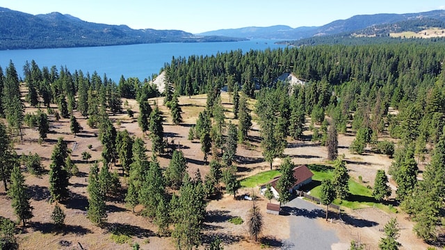 51 Roper Bay Dr, Kettle Falls, WA 99141 - photo 29