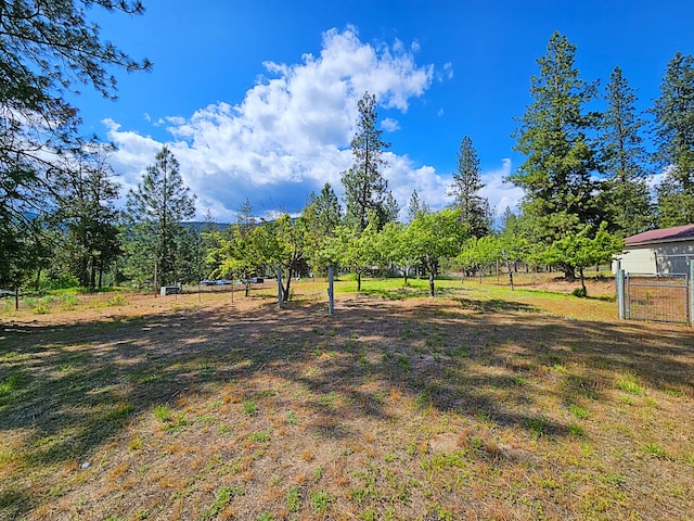 51 Roper Bay Dr, Kettle Falls, WA 99141 - photo 24