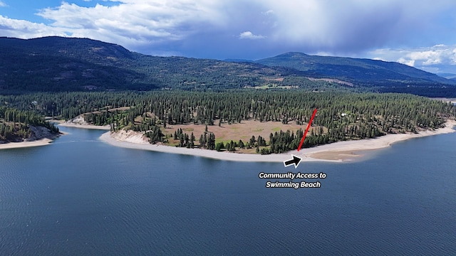 51 Roper Bay Dr, Kettle Falls, WA 99141 - photo 2