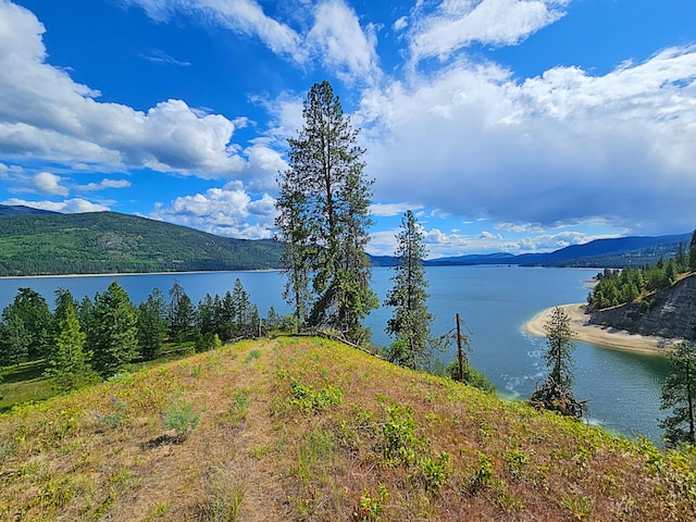 51 Roper Bay Dr, Kettle Falls, WA 99141 - photo 27