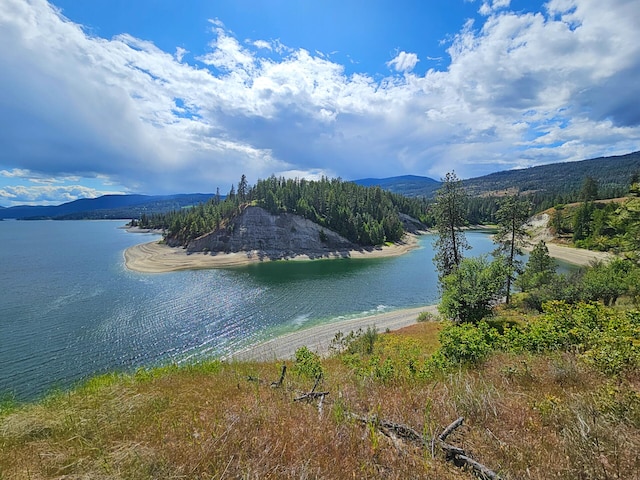 51 Roper Bay Dr, Kettle Falls, WA 99141 - photo 30