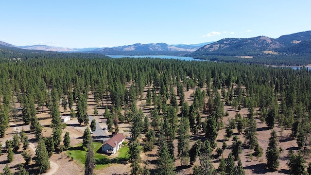 51 Roper Bay Dr, Kettle Falls, WA 99141 - photo 38