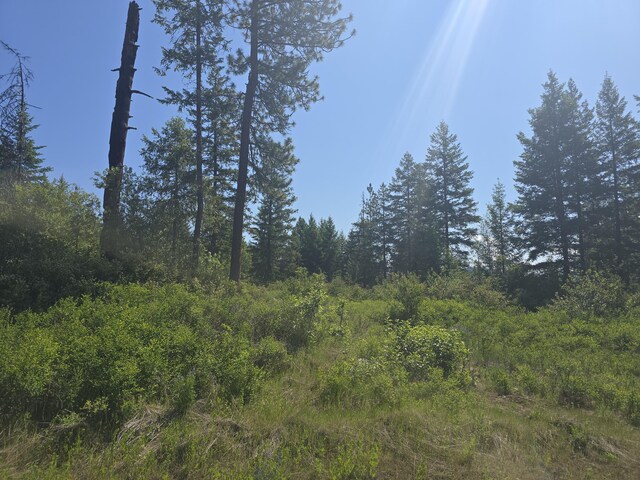 3715 Hill Loop Rd, Kettle Falls, WA 99141