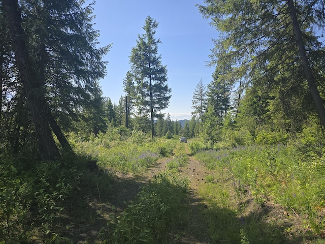 3715 Hill Loop Rd, Kettle Falls, WA 99141