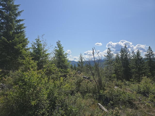 3715 Hill Loop Rd, Kettle Falls, WA 99141