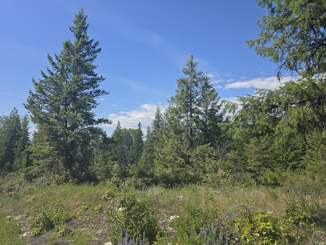3715 Hill Loop Rd, Kettle Falls, WA 99141