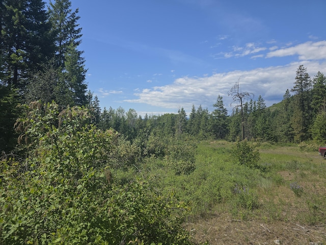 3715 Hill Loop Rd, Kettle Falls, WA 99141