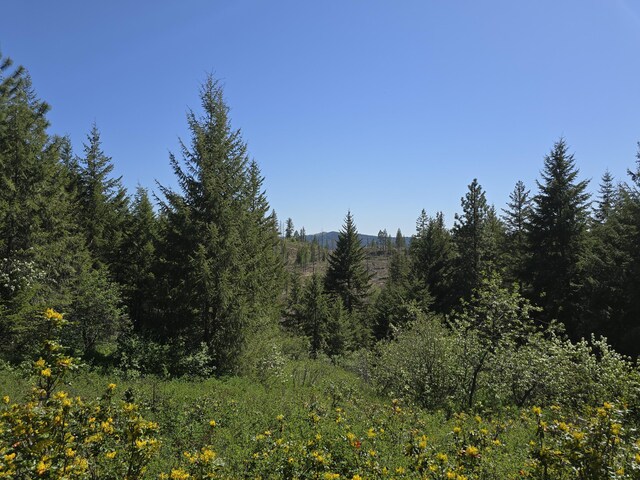3715 Hill Loop Rd, Kettle Falls, WA 99141