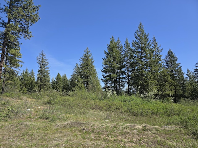 3715 Hill Loop Rd, Kettle Falls, WA 99141