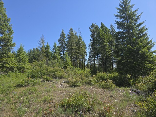 3715 Hill Loop Rd, Kettle Falls, WA 99141
