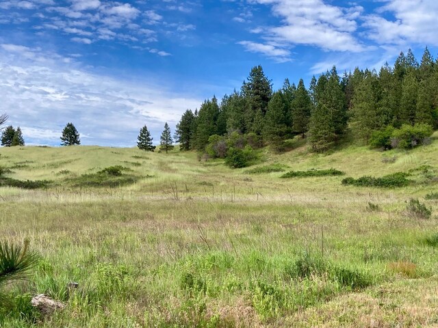 view of nature with a rural view