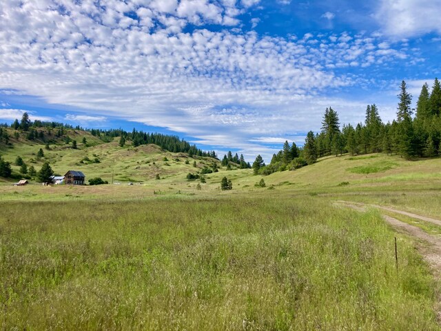 view of local wilderness with a rural view