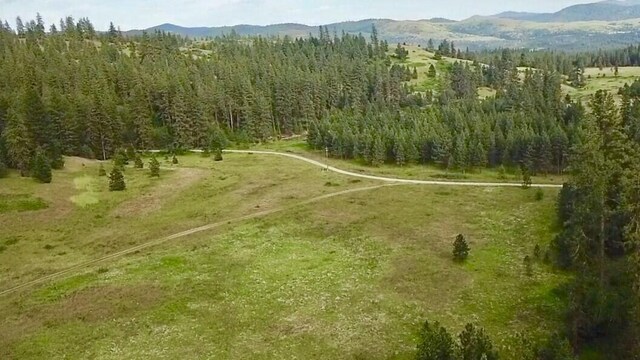 drone / aerial view featuring a mountain view