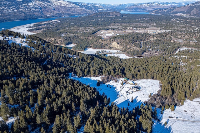 snowy aerial view featuring a water and mountain view