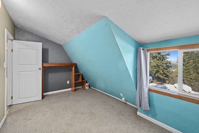 additional living space featuring vaulted ceiling, carpet floors, and a textured ceiling