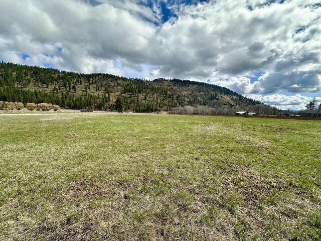 TBD Red Marble Rd, Chewelah, WA 99109 - photo 1