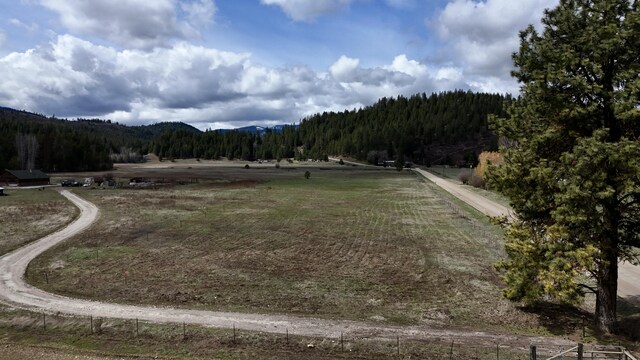 TBD Red Marble Rd, Chewelah, WA 99109 - photo 6
