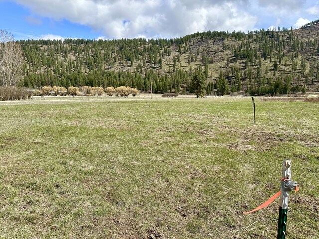 TBD Red Marble Rd, Chewelah, WA 99109 - photo 2