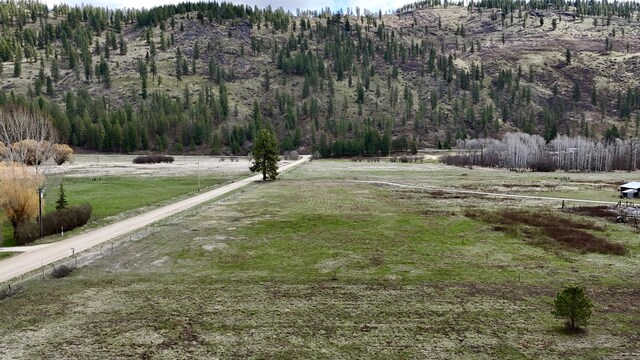 TBD Red Marble Rd, Chewelah, WA 99109 - photo 7