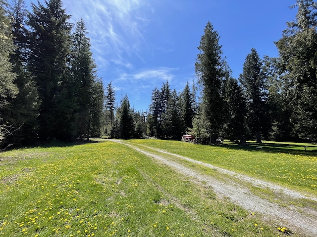 view of road